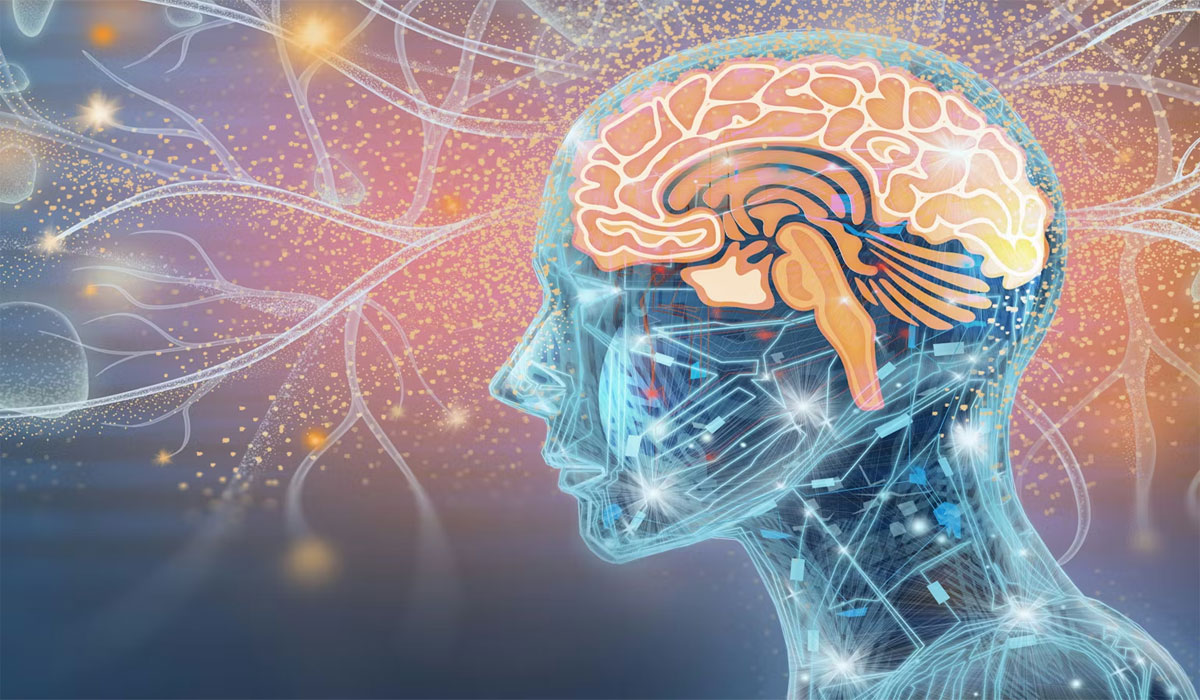 Shocking Secrets Behind True Mind-Body Harmony You Never Knew Existed